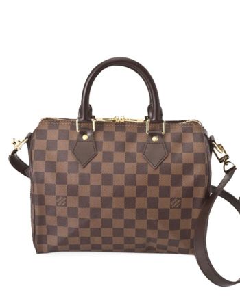 Louis Vuitton Damier Speedy N41181 Brown